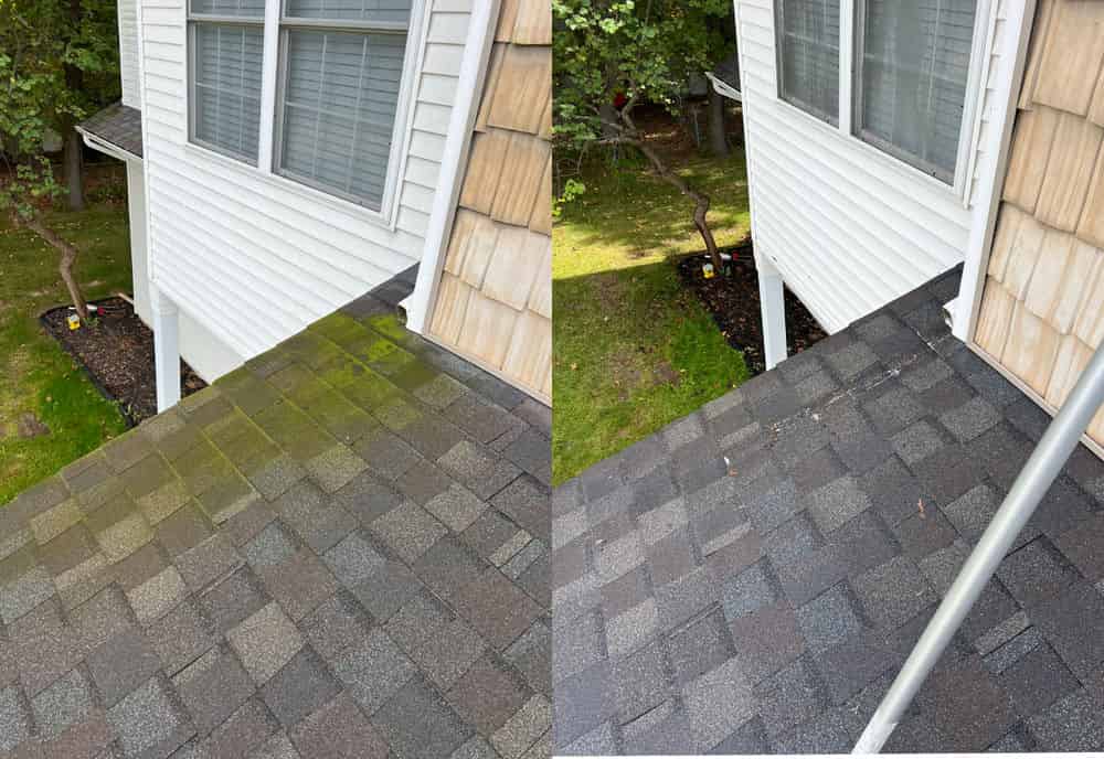 Algae Removal image